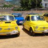 Burgio_2009 (646)